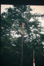 1982 kamp Luycksgestel