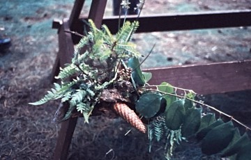 1983 Kamp Jongenskoor Cantasona Luyksgestel (21)