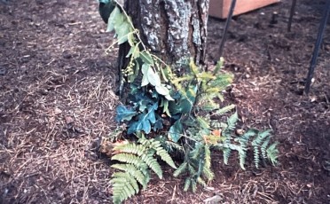 1983 Kamp Jongenskoor Cantasona Luyksgestel (22)