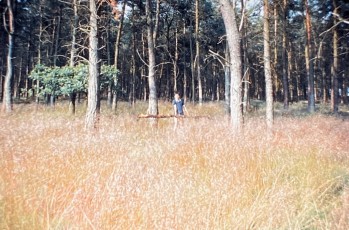 1983 Kamp Jongenskoor Cantasona Luyksgestel (31)