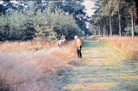 1983 Kamp Jongenskoor Cantasona Luyksgestel (32)