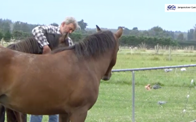 Video: Wim Bevers over Cantasona en de Caba