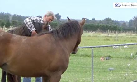 Video: Wim Bevers over Cantasona en de Caba